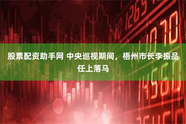 股票配资助手网 中央巡视期间，梧州市长李振品任上落马