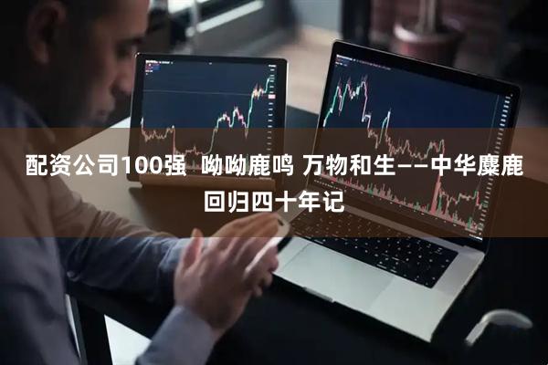 配资公司100强  呦呦鹿鸣 万物和生——中华麋鹿回归四十年记
